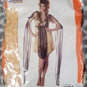 Gold and Black Costume Dress